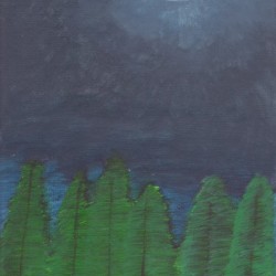 Midnight Light